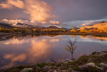 Rondane