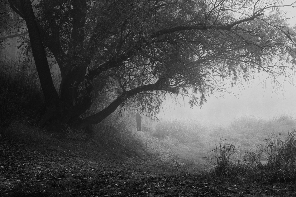 akrims - . . Zdjęcie 328360
