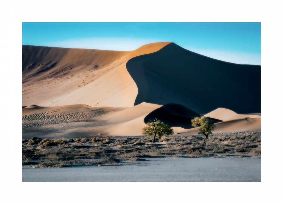 fotoel - Wydmy z Sossusvlei . . Zdjęcie 325669