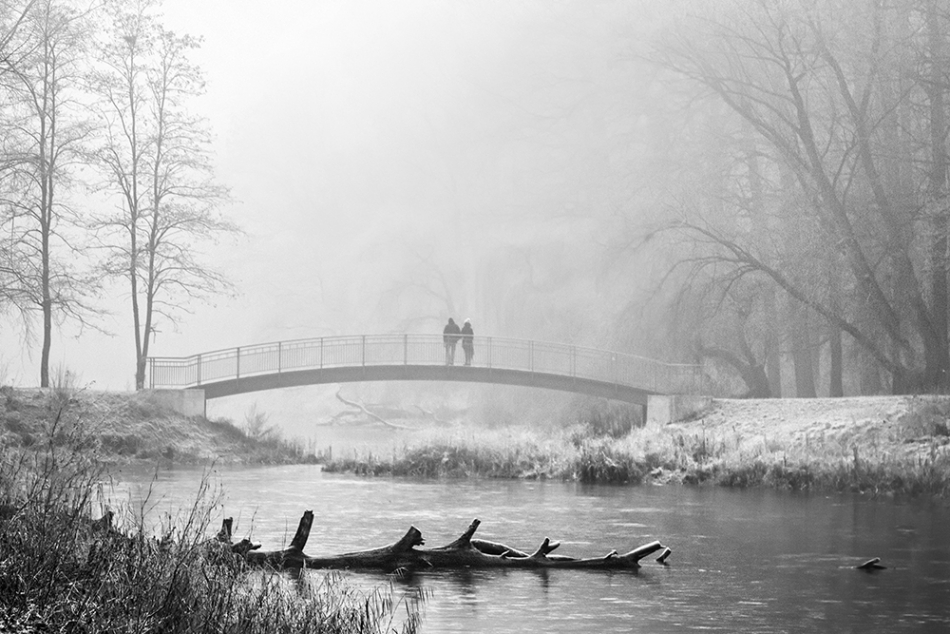 akrims - . . Zdjęcie 206779