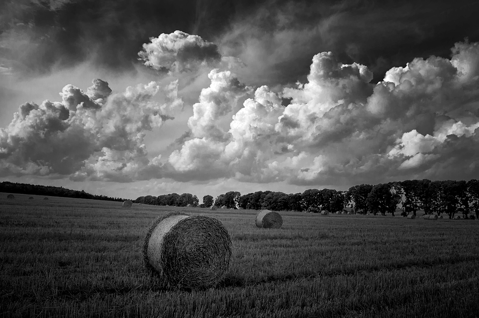 pato_log - Turlacze. . Zdjęcie 126911