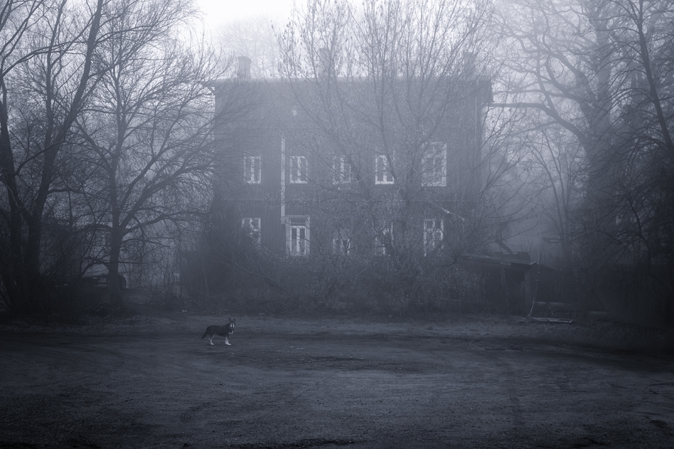 akrims - . . Zdjęcie 323389
