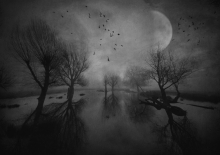 The Lost Morning