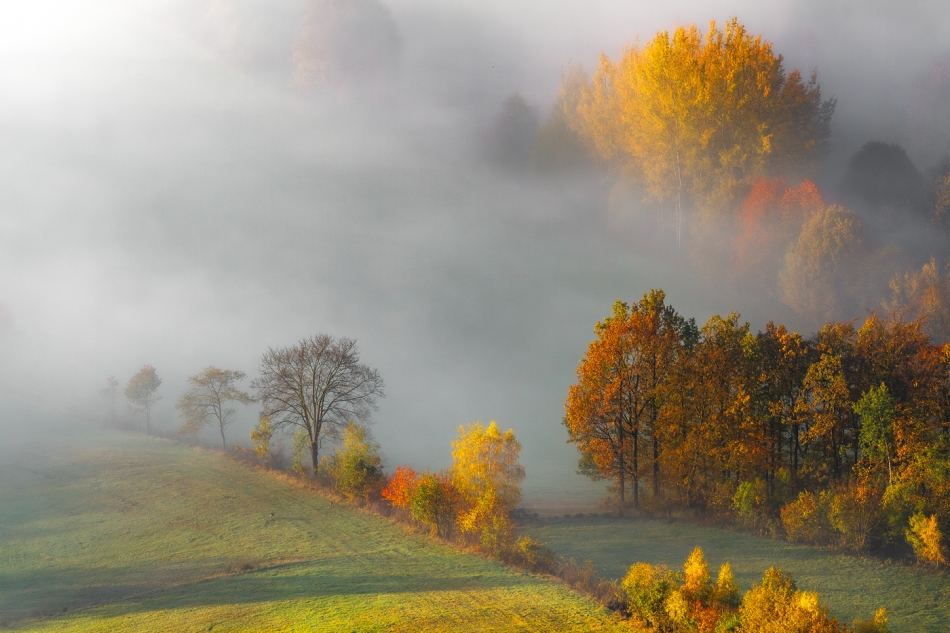 bonnieandclyde - Autumn Deluxe.... . Zdjęcie 328517