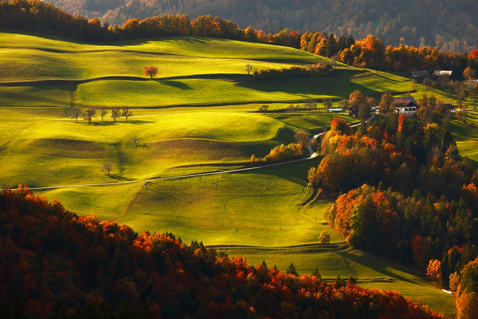 jalis - Oktober fest. . Zdjęcie 258214