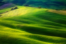 Green Waves