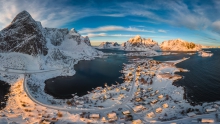 Reine 