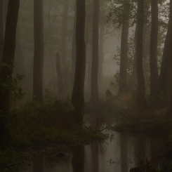 Mglisto. Rzeka Gać. Spa...