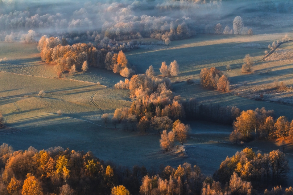 bonnieandclyde - Days of Autumn Trees.... . Zdjęcie 328650