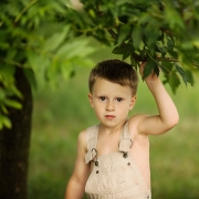 Dawid