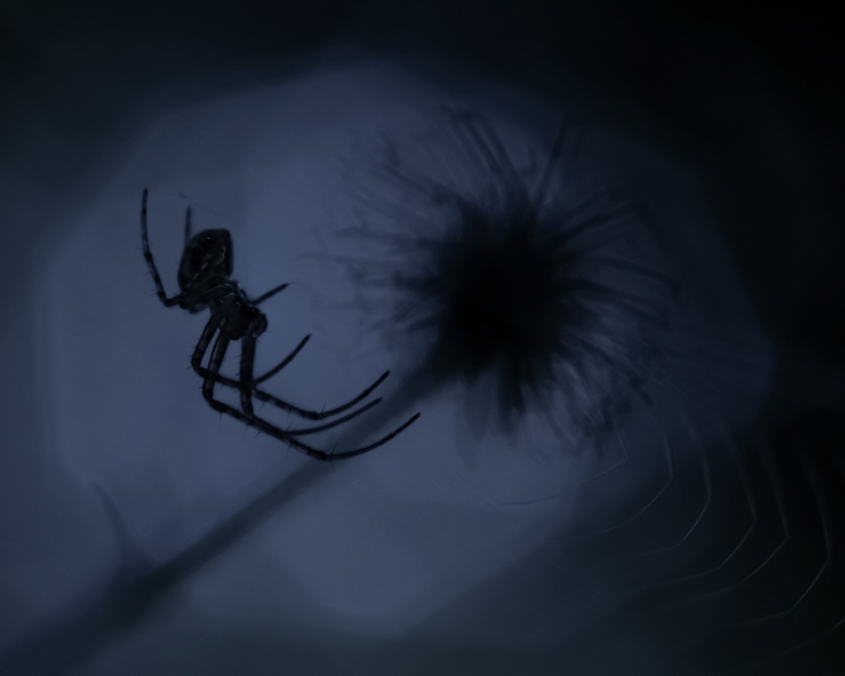 marekz - . . Zdjęcie 327906