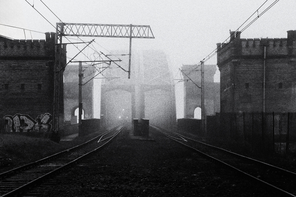 akrims - *. . Zdjęcie 336414