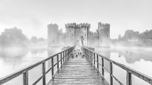 Duck castle