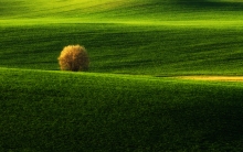 Wiosna.