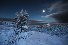 Winter Night...