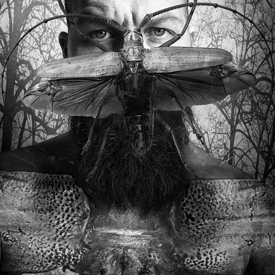 wildwhisper - Ostatni Brzmiący Chrząszcz. . Zdjęcie 311055