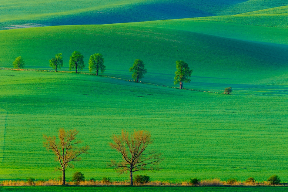 Wiosenne. . Zdjęcie 220785