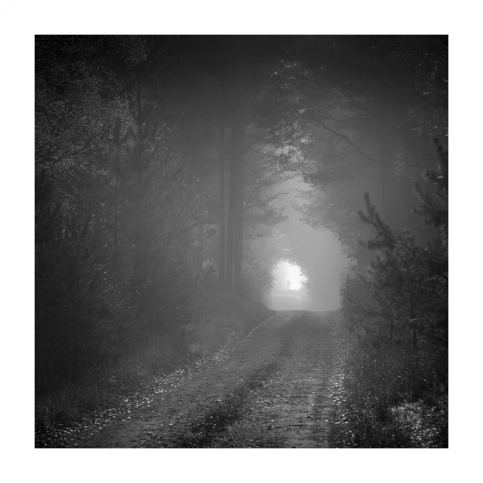 akrims - . . Zdjęcie 320918