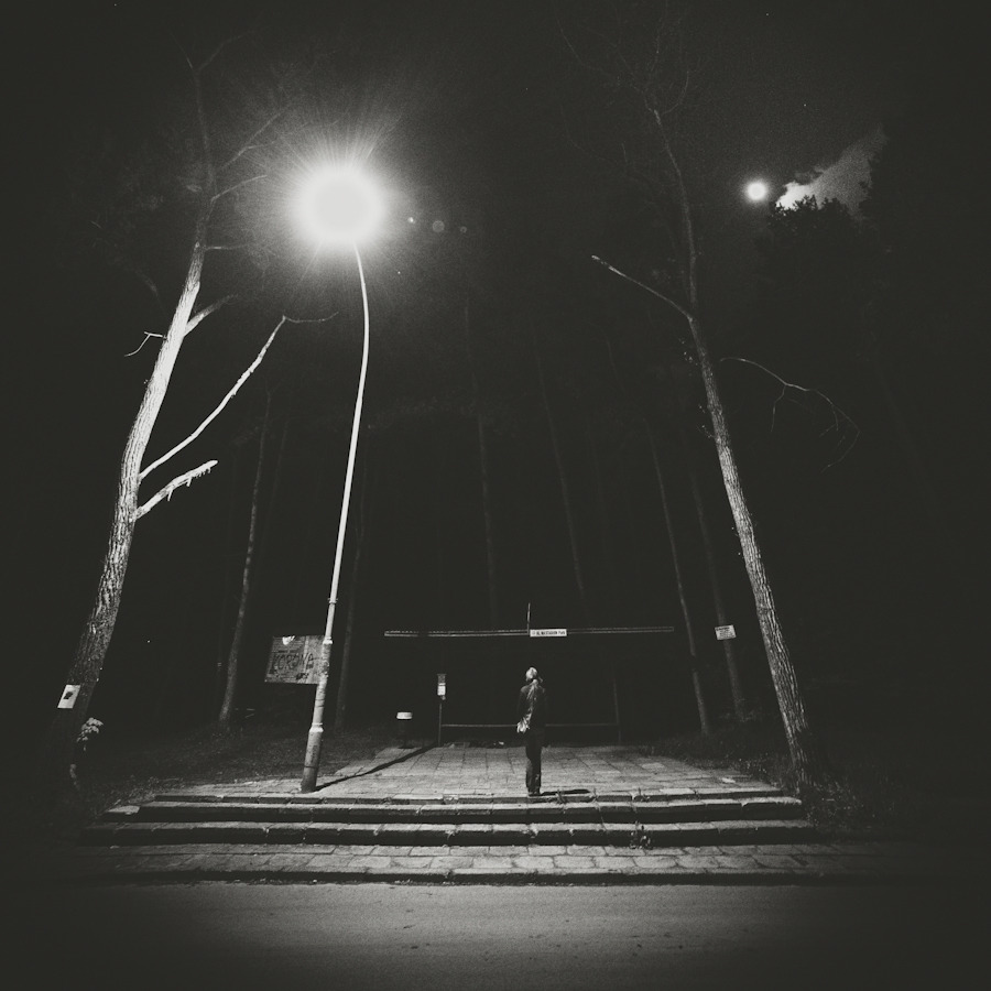 miljo77 - . . Zdjęcie 208498