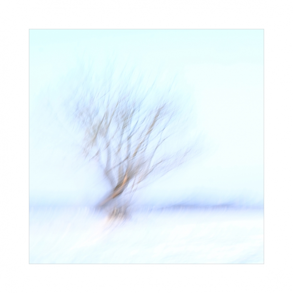keytoo_ - *. . Zdjęcie 335354