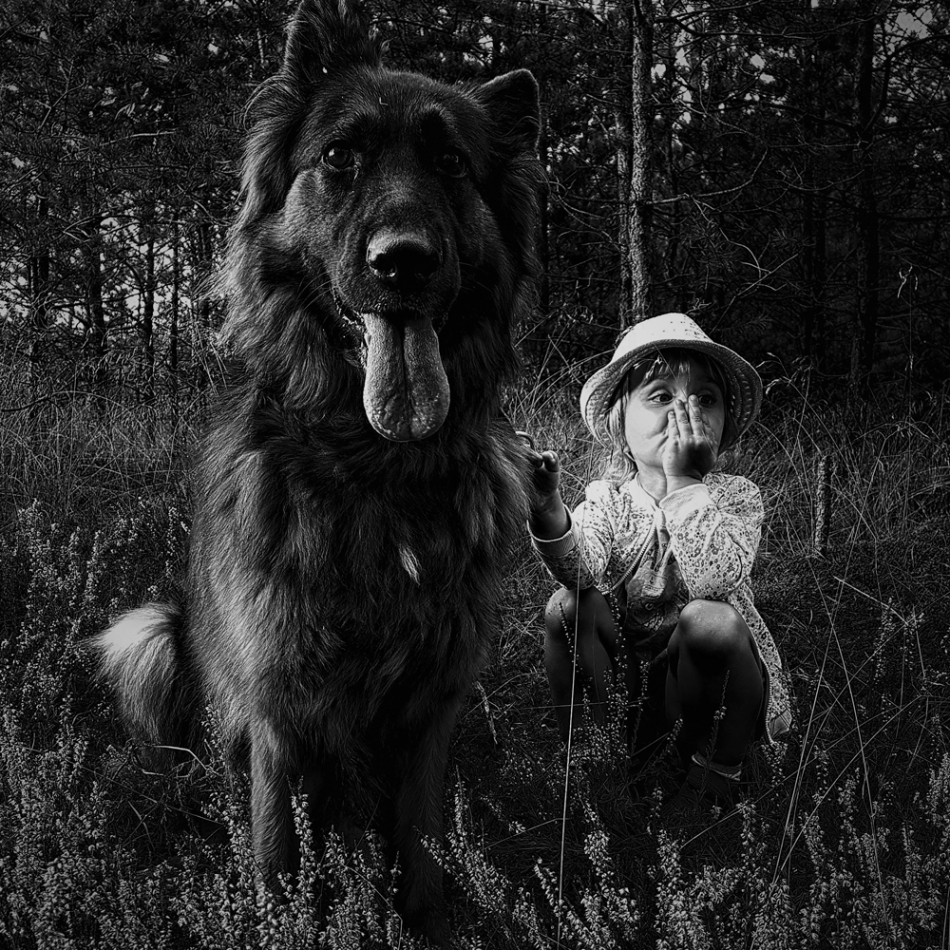 wildwhisper - Rówieśnice We Wrzosie . . Zdjęcie 282926