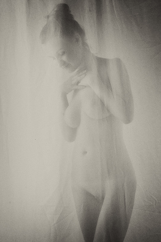 bartg - Sunrise. . Zdjęcie 91030
