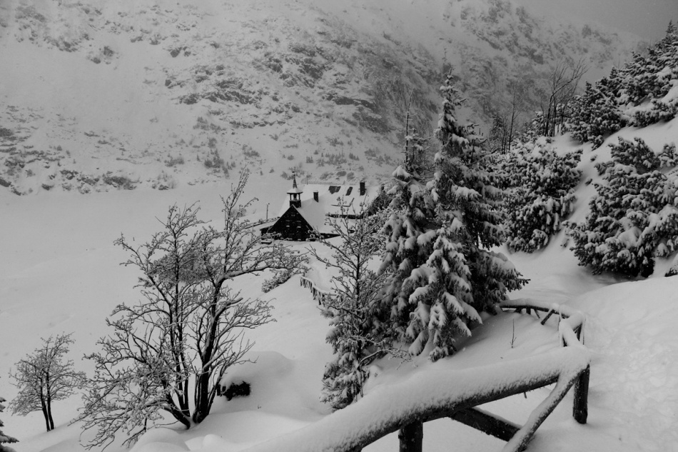 rubinar_1 - Samotnia.... Zabierz mnie w tę podróż Gdzie granice czasu rozrzucone W katedrach lasu W słowach których zapomniały języki... https://www.youtube.com/watch?v=vFGAOK-PKSU&list=RDvFGAOK-PKSU&start_radio=1. Zdjęcie 337370