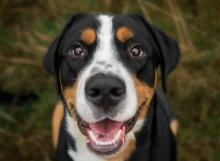:)