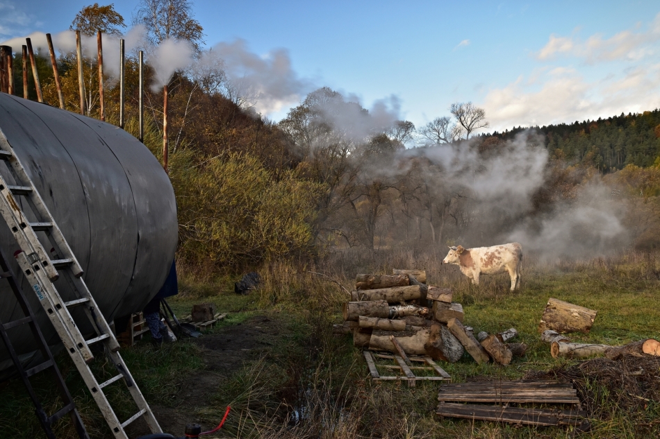 dymny wypas. Bieszczady. Zdjęcie 336449