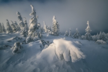 Return of the Winter...II