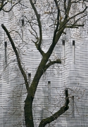 wiosna
