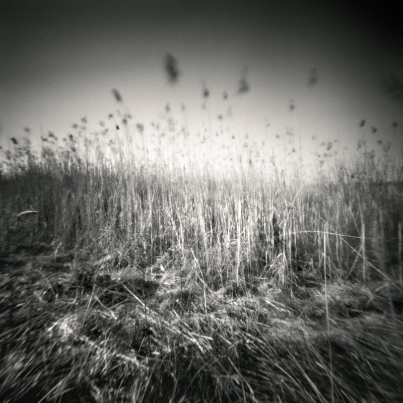 miljo77 - . fotografia otworkowa  (pinhole, camera obscura)  skan z negatywu 6x6cm. Zdjęcie 289367