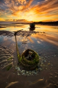lonely sunrise