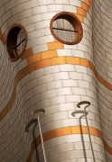 insekt