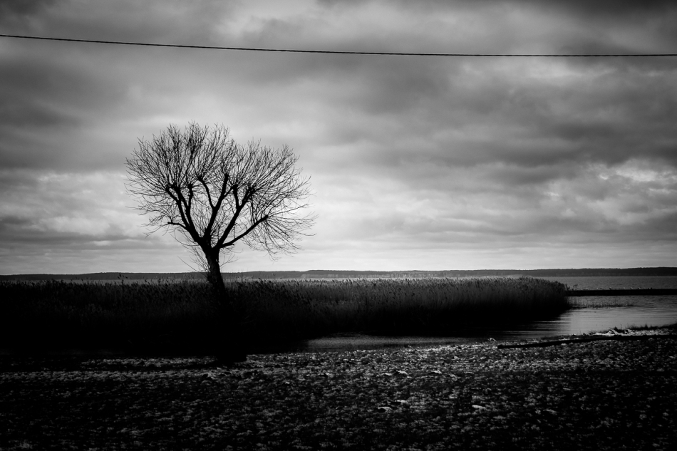walewsky - . . Zdjęcie 311764