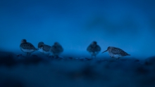 Nocna zmiana