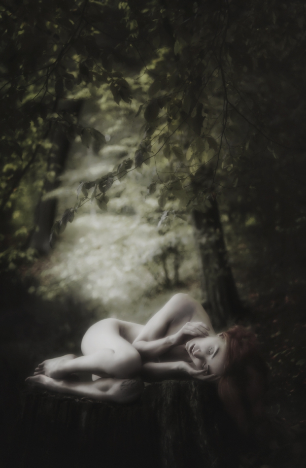 ame_agaru - leśne sny. . Zdjęcie 227932
