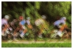 Tour de Pologne 2025