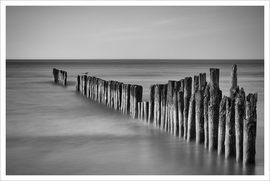 jarekf34 - ***. . Zdjęcie 26651