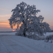 Ośnieżenie