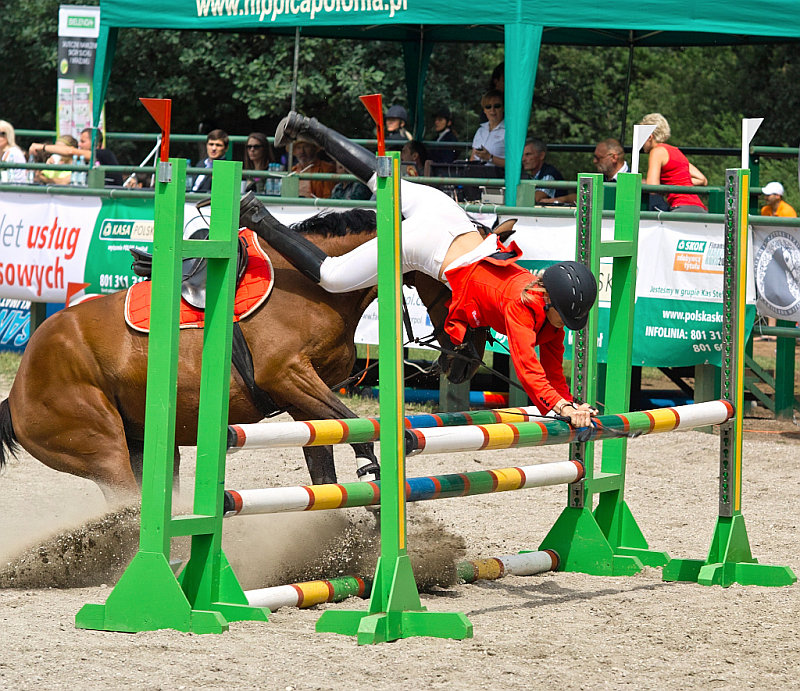 am1974 - Przeszkoda.... ROYAL CUP 2012 w Łazienkach Królewskich na Hipodromie. Zdjęcie 64810