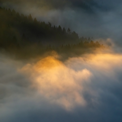 Pieniny