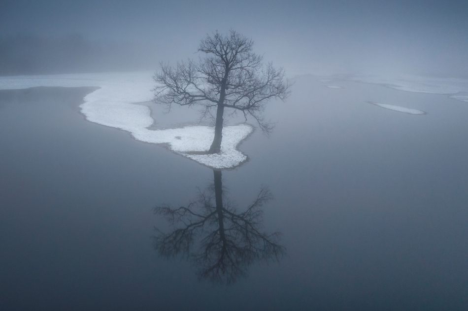 exo_82 - . . Zdjęcie 310557