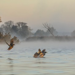 Październikowy świt