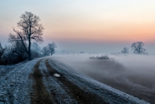 Mroźny poranek z mgiełką 