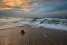 Surfer