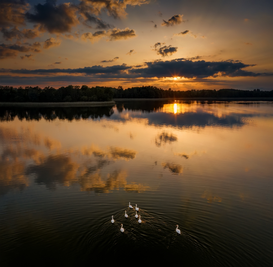 stroop - Mazury. . Zdjęcie 269089