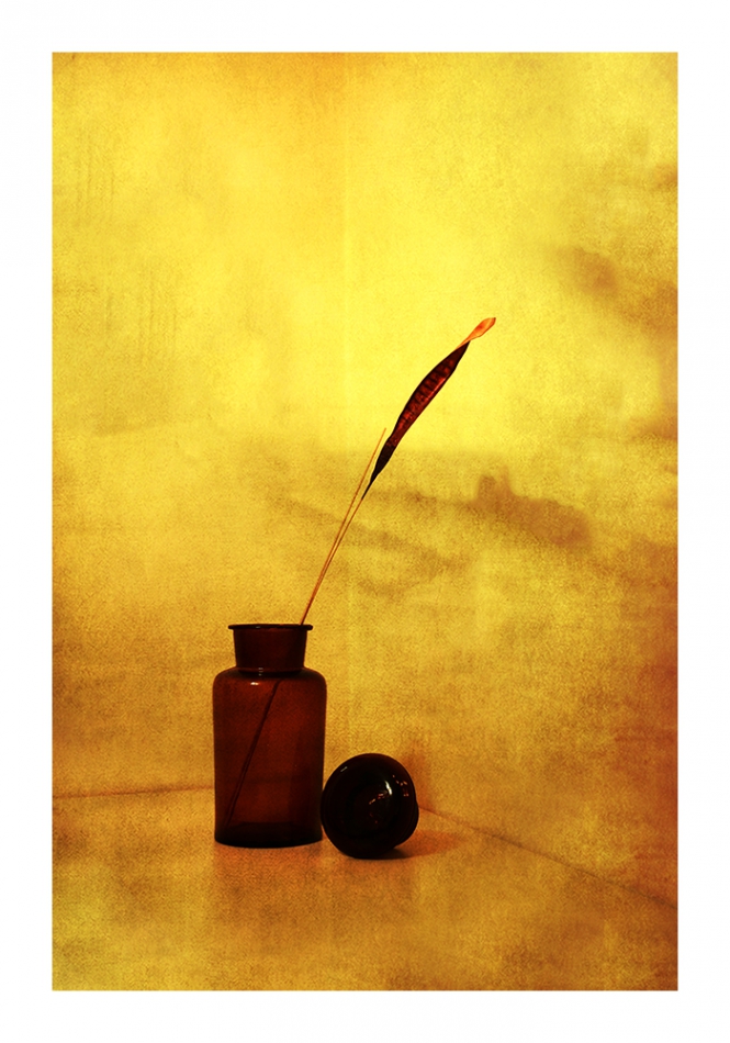 akrims - . . Zdjęcie 212999