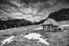 Na Hali II... B&W
