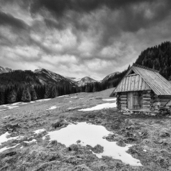 Na Hali II... B&W